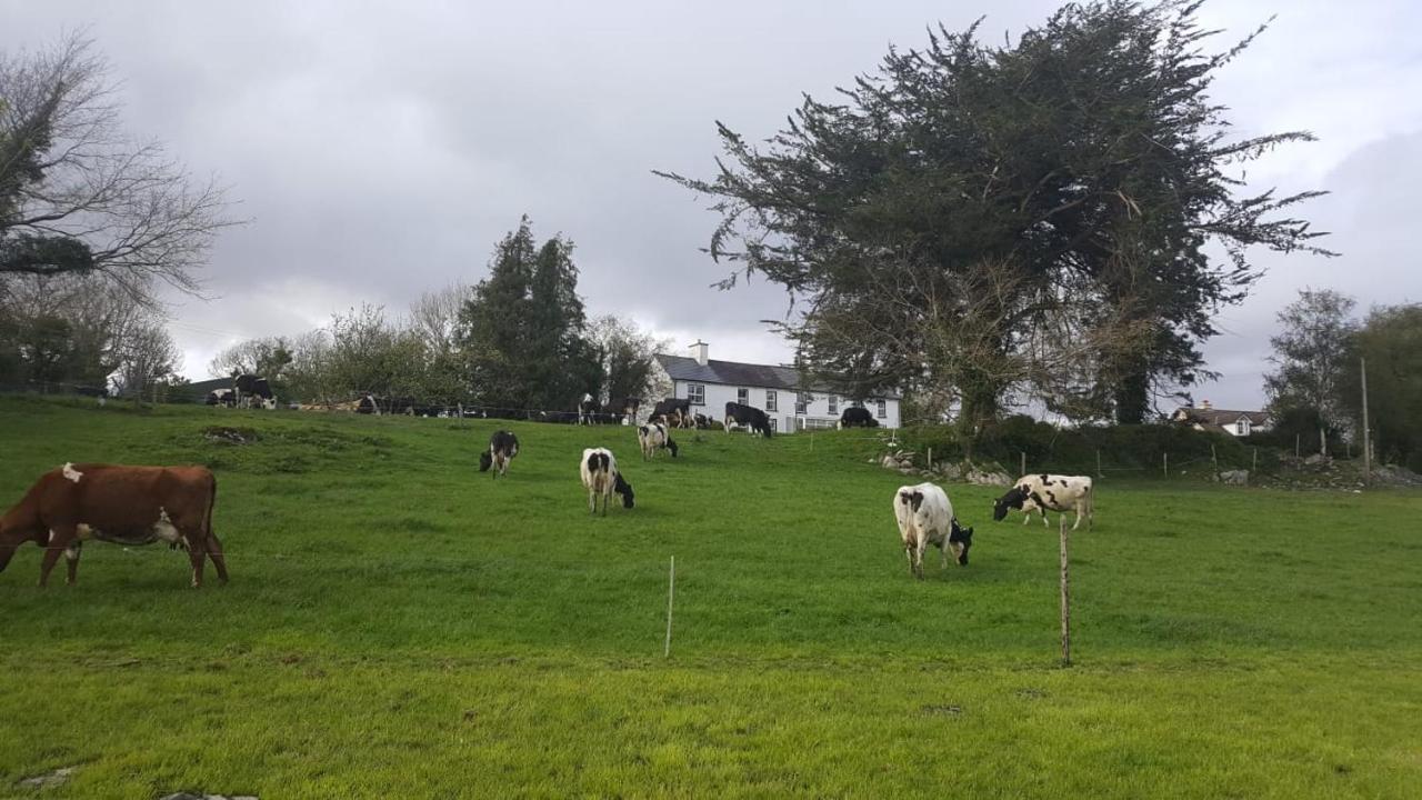 Gortamullen House, Kenmare Bed & Breakfast Eksteriør bilde
